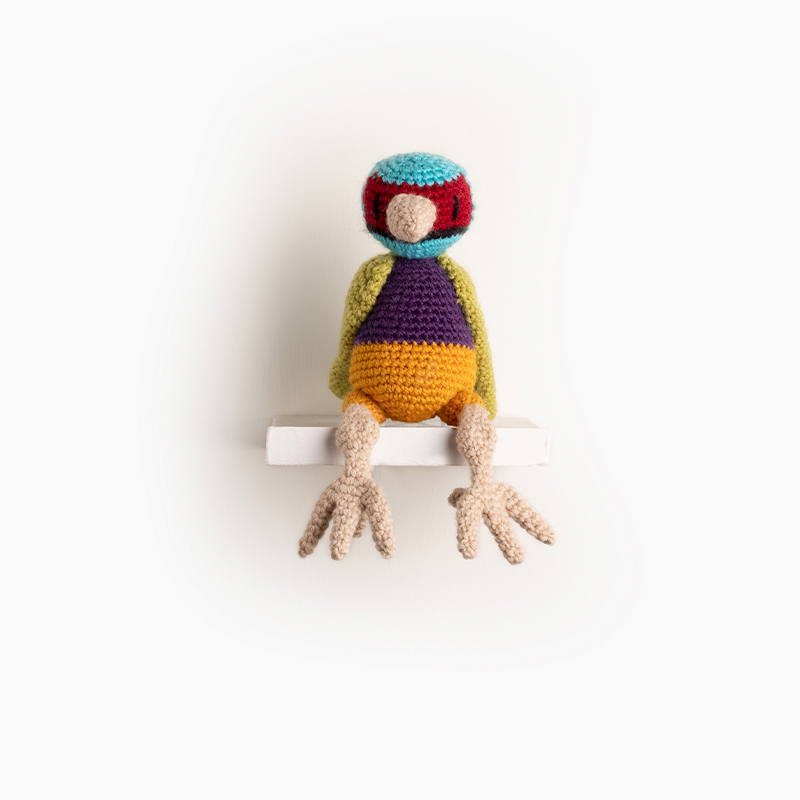 Ezra the Gouldian Finch Crochet Pattern